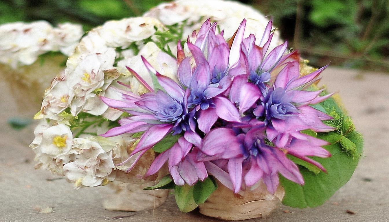 比特派钱包：数字资产交易的安全之选，操作及保存要点需知