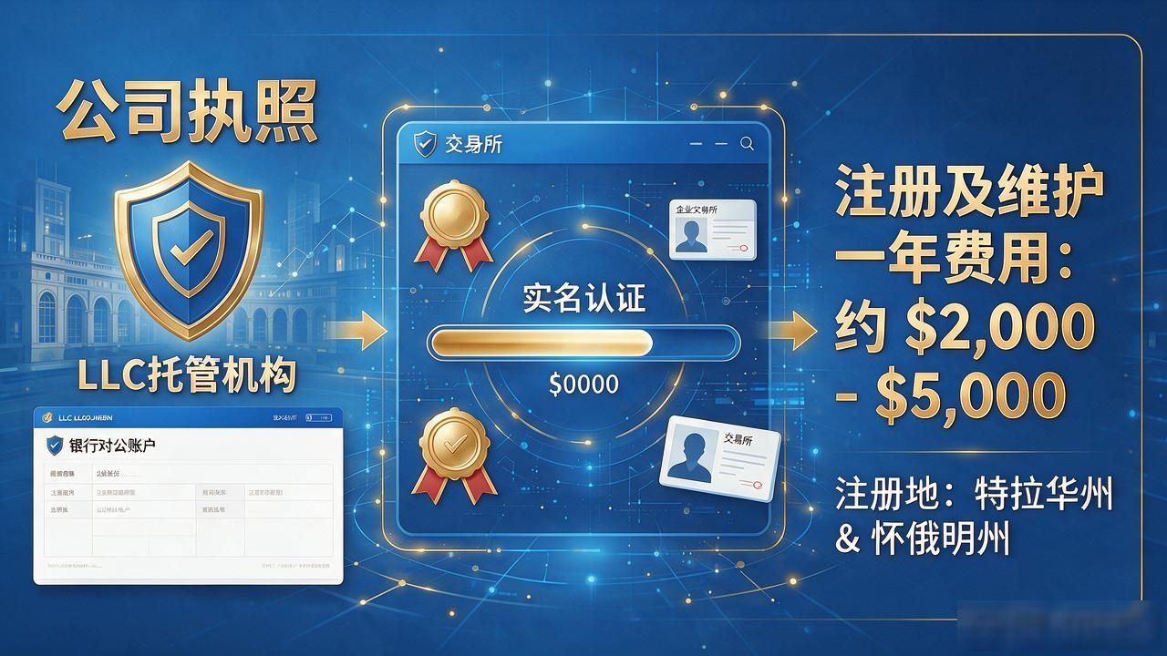 LLC数字货币怎么买？普通人用公司结构持有加密币的门道